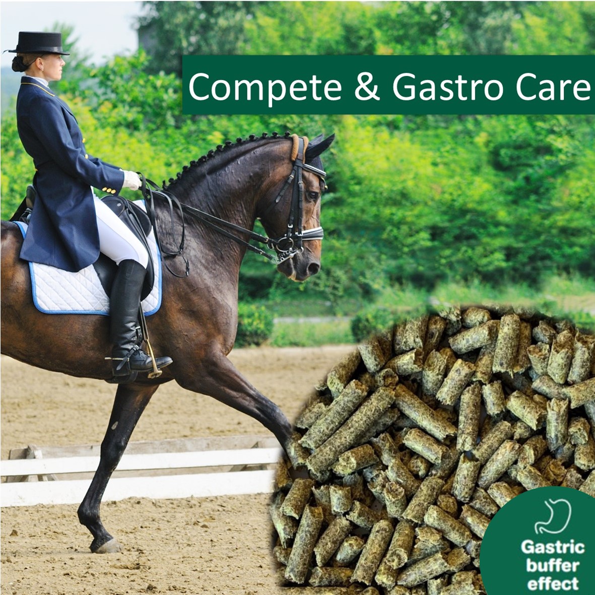HorsePro Compete & Gastro Care