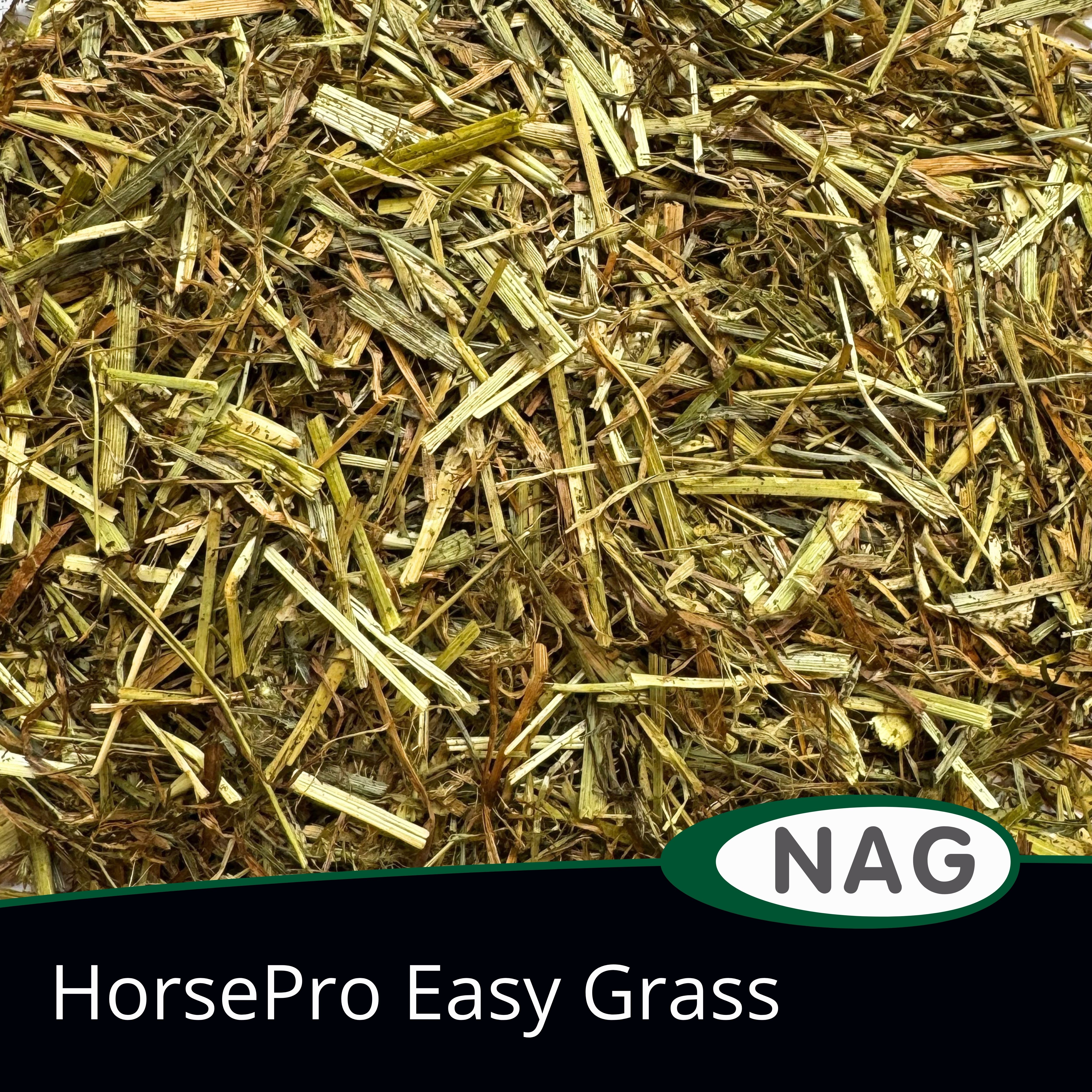 HorsePro Easy Grass