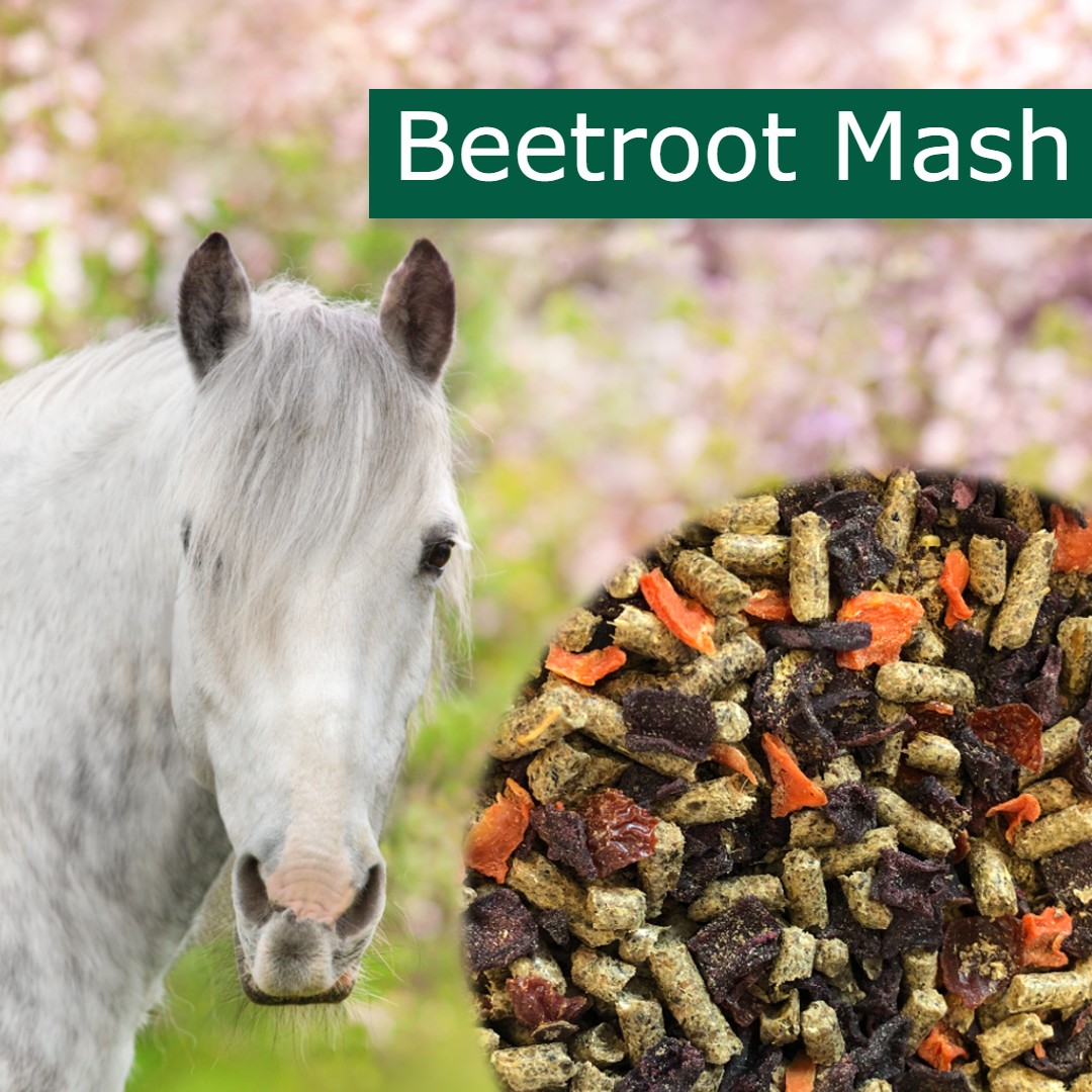 HorsePro Beetroot Mash 20 Kg