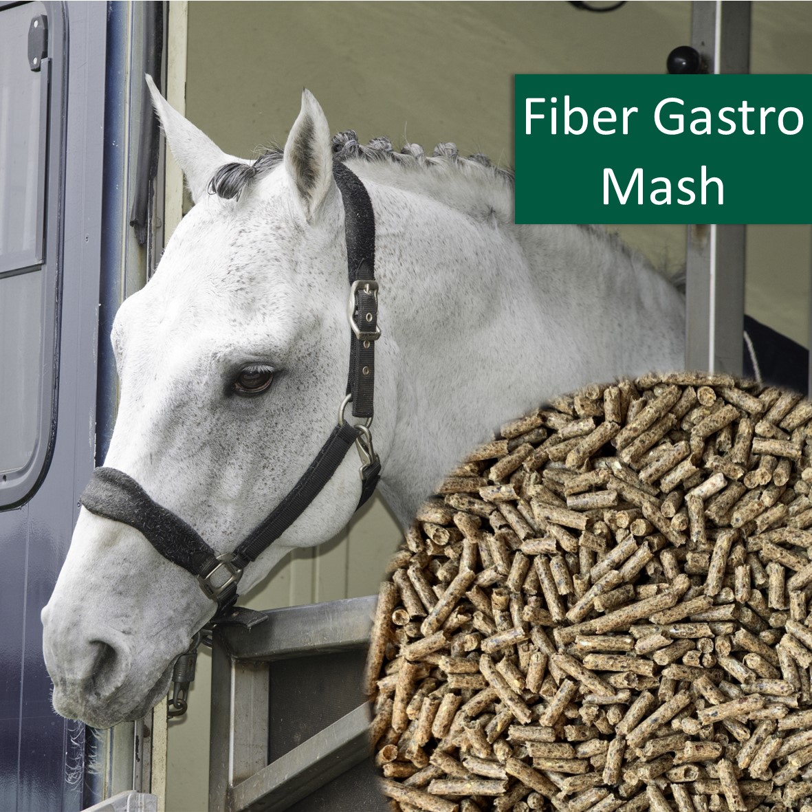 HorsePro Fiber GastroMash 20 Kg