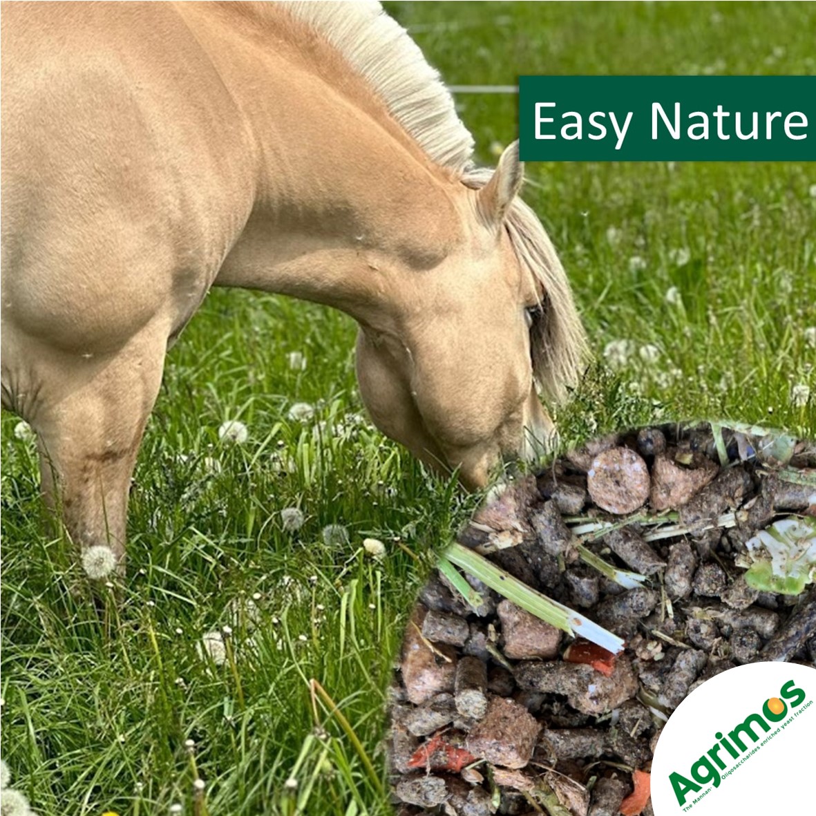 HorsePro Easy Nature